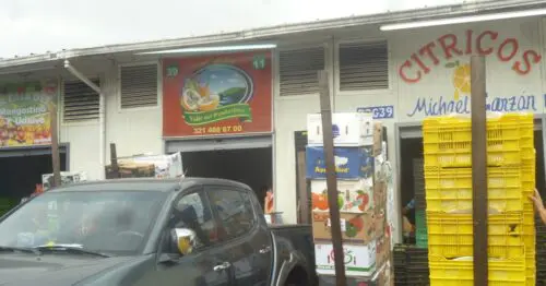 COMERCIALIZADORA VALLE DEL PENDERISCO COMERCIALIZADORA VALLE DEL PENDERISCO